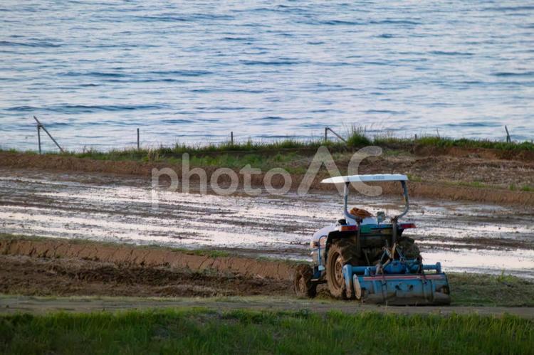 潮風をまとった働き者 トラクター,海辺,浜辺の写真素材