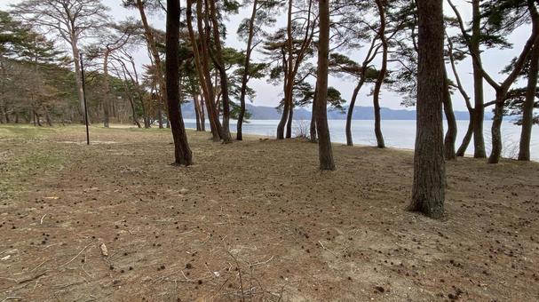 キャンプ場 キャンプ場,湖畔,みちのくの写真素材