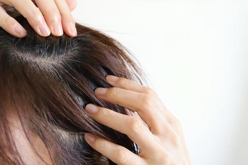 白髪が生える女性 白髪,白髪が生える,女性の写真素材