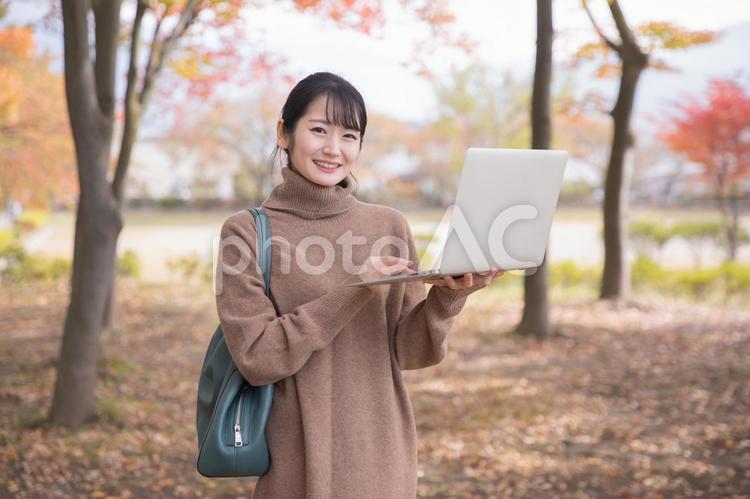 秋の公園でパソコンを使う女性 テレワーク,ノートパソコン,リモートワークの写真素材