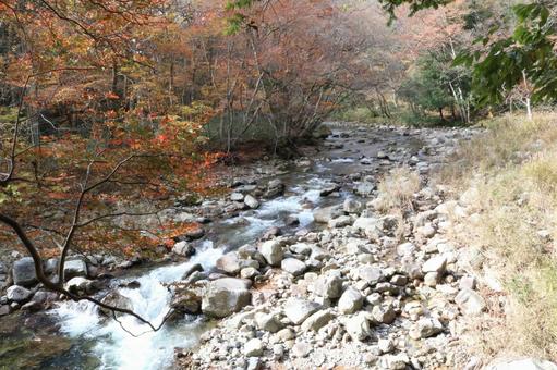 秋の遊歩道 秋の遊歩道 赤,もみじ,晩秋の写真素材