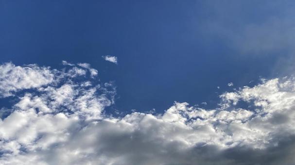 雨上がりの朝 雨上がりの朝の写真