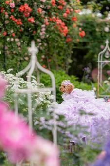 Toy poodle wearing a rose and a dress, JPG