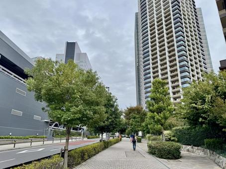 花房山通り　目黒駅周辺 目黒,花房山通り,タワーマンションの写真素材