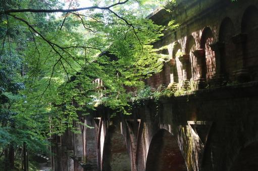 夏の水路閣 夏の水路閣の写真