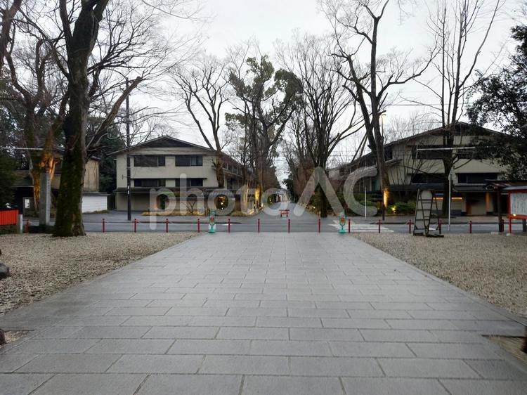 雨の日の散歩道 今日,京都,古都の写真素材