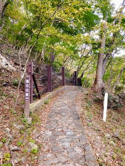 竜化の滝を見に行くルート ハイキング,トレッキング,山道の写真素材