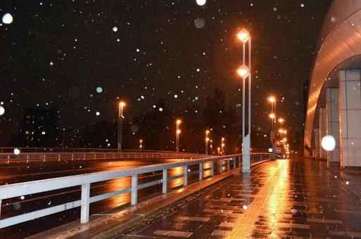 夜の道路と雪の写真