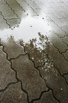 水たまり 水たまりの写真