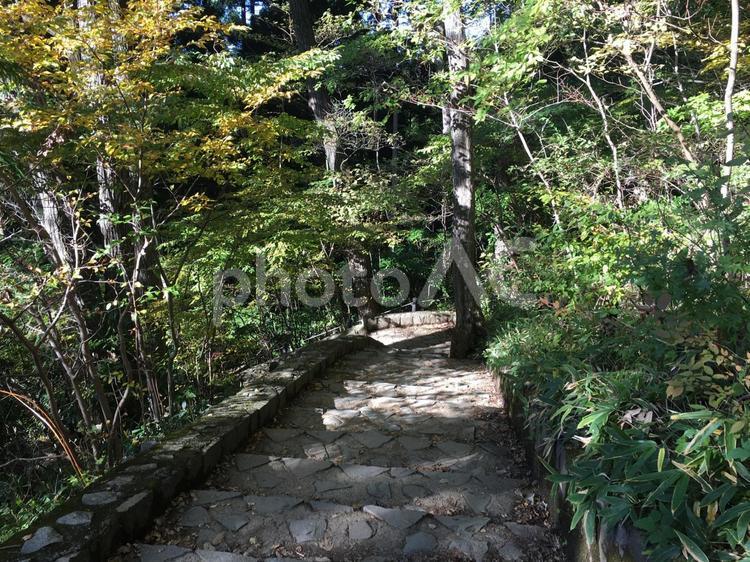 階段　日本の山 石段,森林浴,階段の写真素材