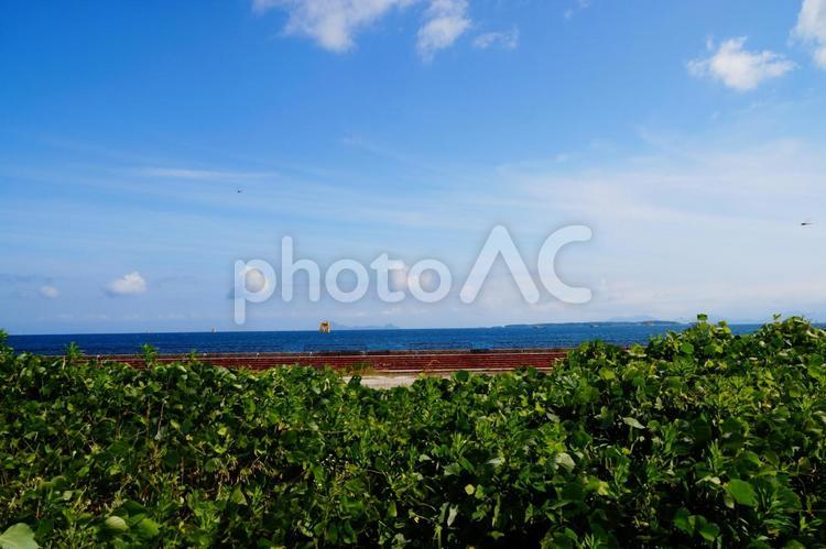 自然の風景 夏,空,晴れの写真素材