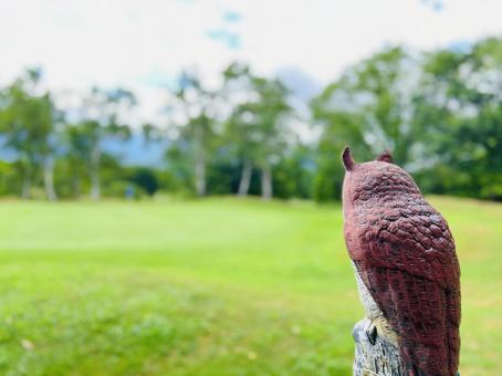 高原の景色とフクロウの後ろ姿 高原の景色とフクロウの後ろ姿 フクロウ,芝目,芝目方向を指し示すの写真素材