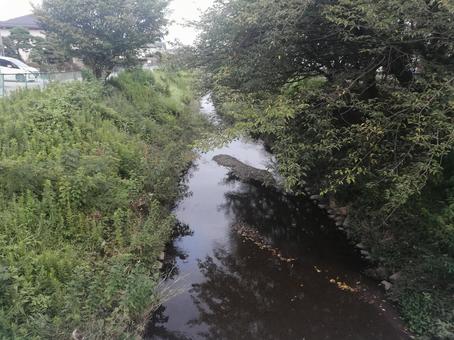 小山橋から眺める境川 小山橋から眺める境川の写真