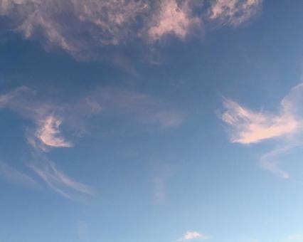 Photo, evening sky, sunset, summer sky, 