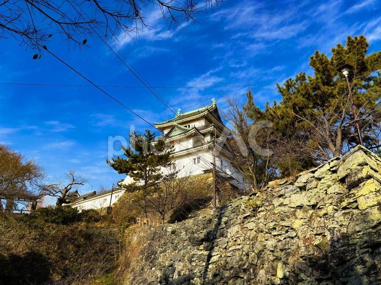 和歌山天守を見上げる 和歌山城,名城,天守の写真素材