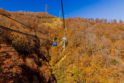 新潟県 苗場ドラゴンドラからの秋景色 新潟県 苗場ドラゴンドラからの秋景色 紅葉,秋,苗場ドラゴンドラの写真素材