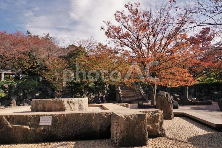 飛鳥山公園 飛鳥山公園,北区,秋の写真素材