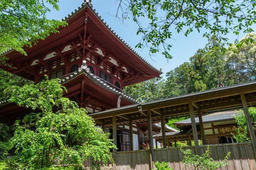 浜松市 龍潭寺の回廊と開山堂(静岡) 浜松市 龍潭寺の回廊と開山堂(静岡) 龍潭寺,浜松市,井伊谷の写真素材