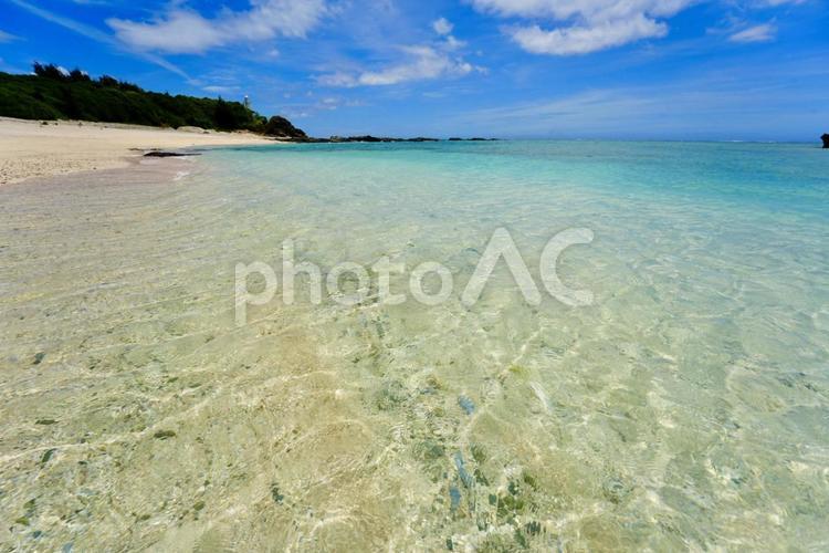 与論島の透明度抜群の美しい海 与論島,沖縄,鹿児島の写真素材