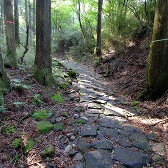 箱根旧東海道の石畳-2 箱根旧東海道の石畳-2 石畳,旧東海道,箱根の写真素材