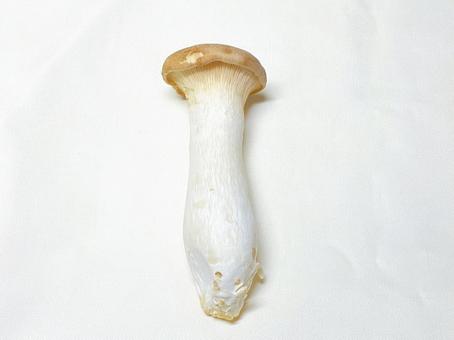 エリンギ エリンギの写真