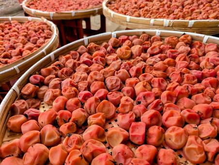 Photo, salted plum, perilla plum, plum, 