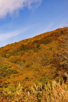 秋の紅葉に染まる山 紅葉,秋,風景の写真素材