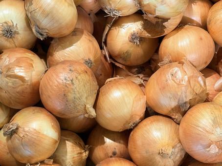 玉ねぎの写真