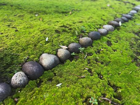 丸石を埋め込んだ苔の庭 丸石を埋め込んだ苔の庭の写真