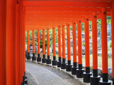 たくさんの鳥居 たくさんの鳥居 高山稲荷神社,鳥居,神社の写真素材