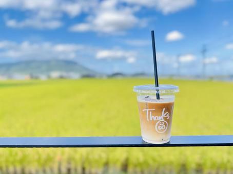 カフェラテ 田んぼ カフェラテ 田んぼ カフェラテ,田んぼ,米の写真素材