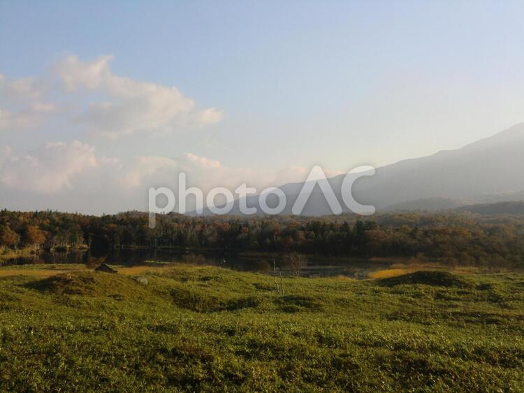 20121027知床五湖木道10 知床五湖木道,知床,木道の写真素材