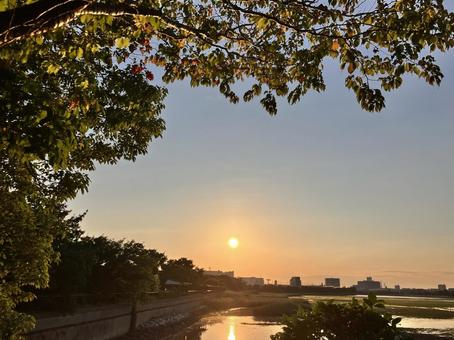 初夏の干潟の夕陽 初夏の干潟の夕陽 夕陽,干潟,谷津干潟の写真素材