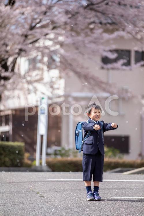 入学式の男の子　ceremony 入学式,入学,男の子の写真素材
