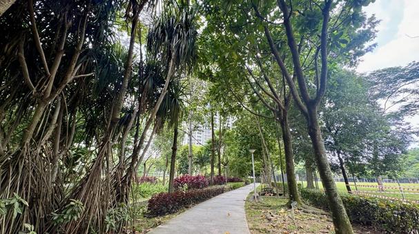 マレーシアの公園 マレーシア,街並み,町並みの写真素材