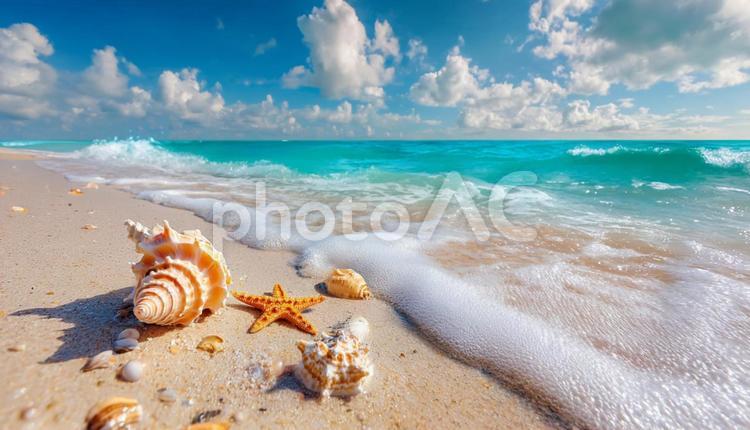 美しい海と空が広がるトロピカルビーチ ビーチ,海,砂浜の写真素材