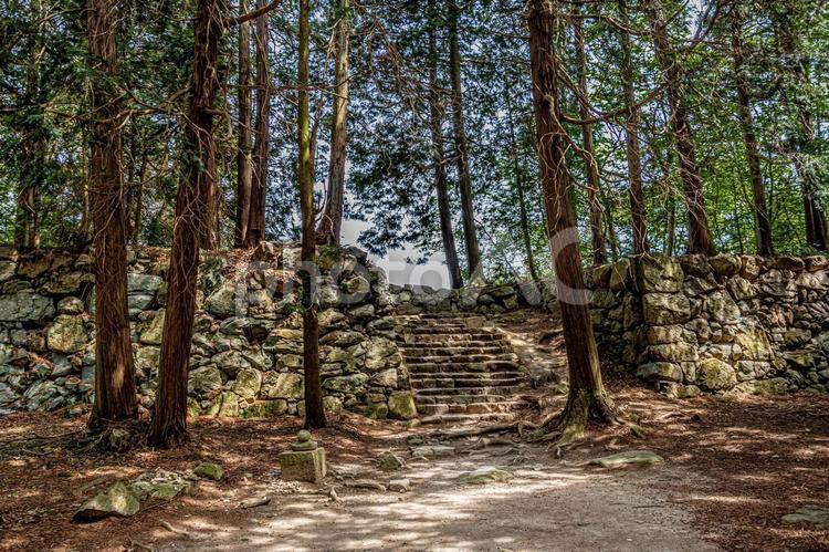 安土城　石垣 安土城,石垣,日本100名城の写真素材