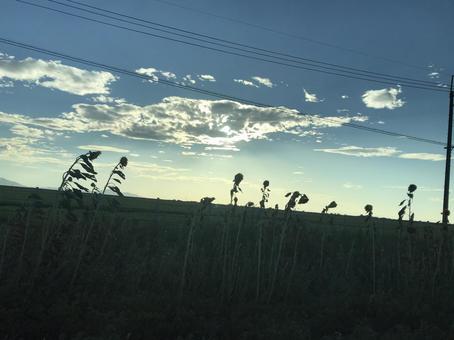 夕方の空 新潟県,町並み,空の写真素材