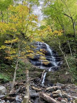 九段の滝　in奥入瀬渓流 九段の滝,奥入瀬渓流,風景の写真素材