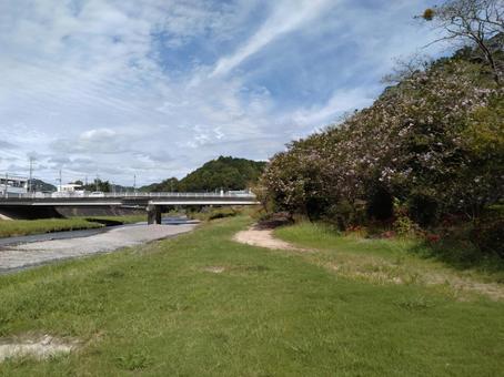 二俣川彼岸花群生地 周辺の様子 二俣川彼岸花群生地 周辺の様子 彼岸花,日本,静岡県の写真素材