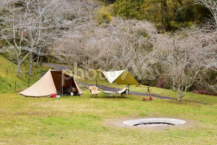 キャンプ場の風景 タープ,草,サマータイムの写真素材