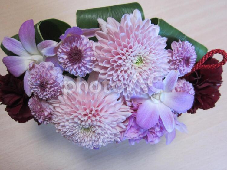 微笑み誘う、可愛い花々。 ギフト,植物,母の日の写真素材