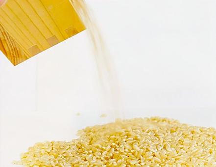 Brown rice (measure) ⑥, JPG