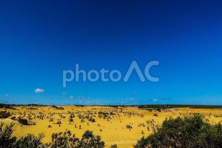 ピナクルズ　国立公園　パース　砂漠 perth,pinnacles,waの写真素材