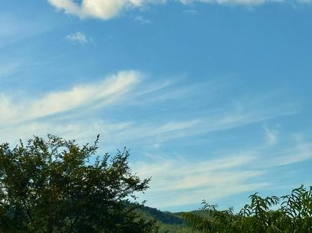 山と青空 山と青空 自然,植物,木の写真素材