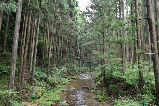 山道 山道の写真