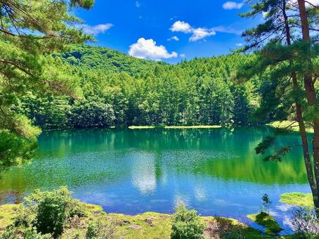 深緑が映える池と青空の絶景 深緑が映える池と青空の絶景 池,御射鹿池,みしゃかいけの写真素材