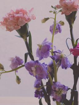 Close up on flowers, JPG