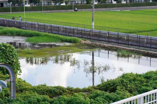 Photo, paddy field, water surface, reflection, 
