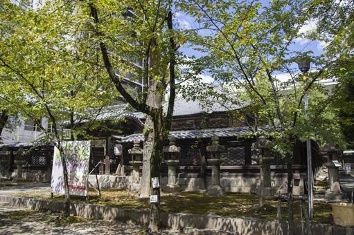 名古屋東照宮 名古屋東照宮,神社,名古屋市の写真素材